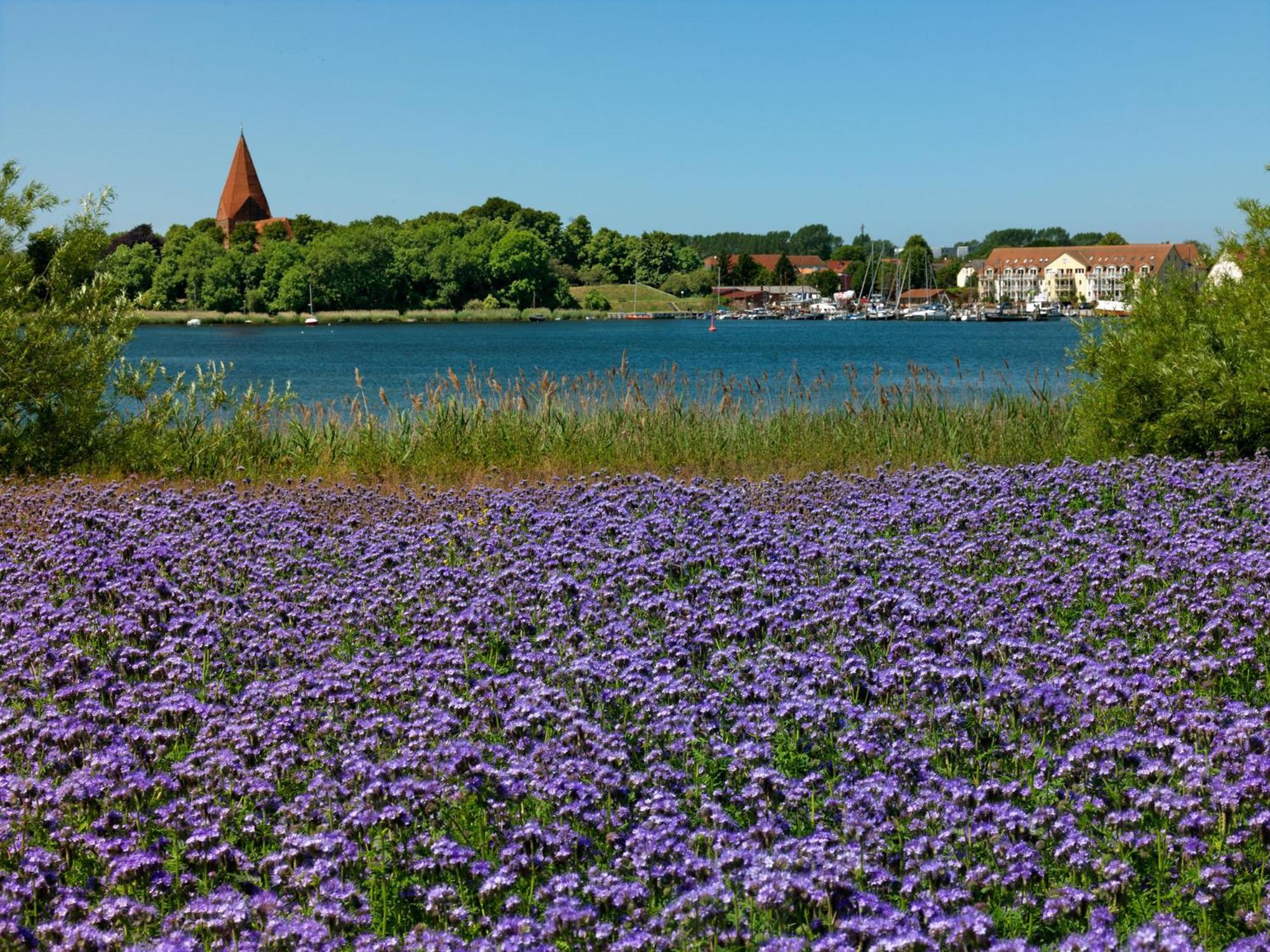 Residenz Am Yachthafen Windspiel Apartment Kirchdorf  Bagian luar foto